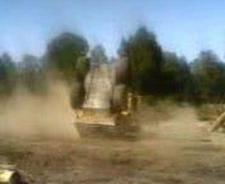 BOBCAT,