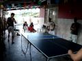 videos de ping pong brasil 4