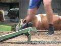 Hornussen-the-sport-