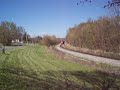 CN train on Cobden Hill