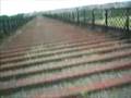 Bennerley Viaduct Ilkeston