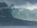 JAWS : MAUI