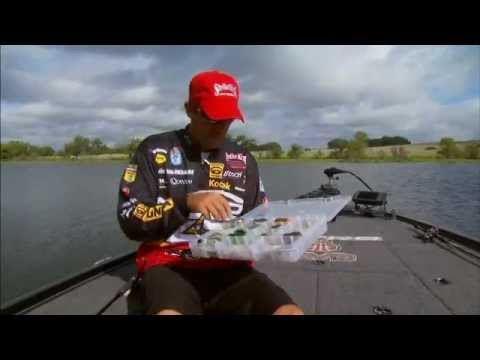 kvd crankbait