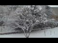 Nieve Rovereto 2008
