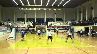 Dobromir Dimitrov-Setter white No.5