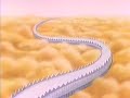 Dragon Ball Z (Audio Latino) Episodio 10