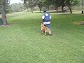 Dog Heeling (Beyond The Leash) 866-957-DOGS Dog Heeling (Beyond The Leash) 866-957-DOGS
