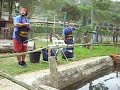 trota lago pesca con pioscin e sampei - Thumb #3