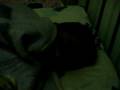 videos de Rahul Jagtap Snoring