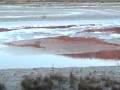 videos de MOV00686