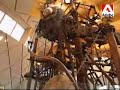 The nutcracker machine, Eden Project