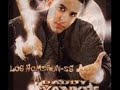 Letra de la cancion Flow Gansteril - Daddy Yankee