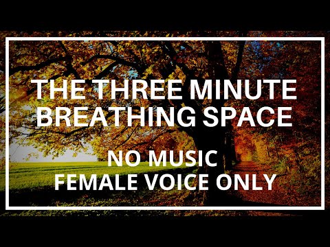 The Three Minute Breathing Space - Mindfulness Meditation