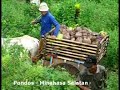 Pondos Minahasa Selatan Pondos Minahasa Selatan