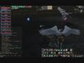 XO: Looking for PvP