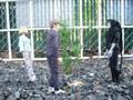 Doctor Who Meets Monty Python video