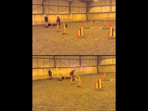 Gabi and Breeze 03-12-2014