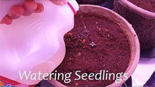 New video added to the free pot growing course
