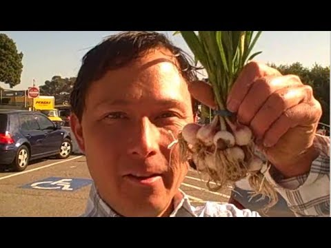 how to grow crops
