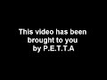 PETTA