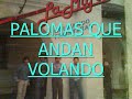 GRUPO LA MIGRA Palomas que andan volando
