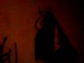 videos de dosio