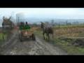 videos de JEAN OPRISOR-  TARAN ROMAN!