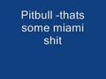 Clip Pitbull Miami Shit
