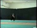 videos de IOC Wushu Demo Huang Shao Xiong nanquan Wushu Team Düsseldor