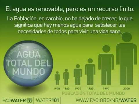 Dia Mundial del Agua: Agua y Alimentación II