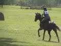 Four Thirty Dancer at Holly Hill Spring 2004