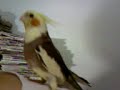 thuthuco