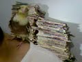 thuthuco