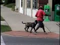 Oso: Basic Obedience and Pictures