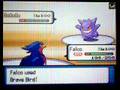 videos de D/P Wi-Fi Battle: XAlphaTekX vs. 8Sadisticmaniac8 RE-MATCH