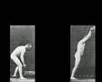 Muybridge - Gould - Bach Music Video
