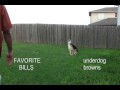 T-Bone's NFL Picks: Week 5 - 2009