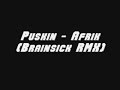 Puskin - Afrik(Brainsick RMX)
