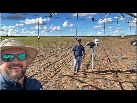 OESTA BAIANO AO VIVO