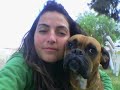 Boxer Dog Carmen