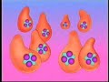 NONI