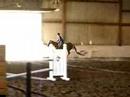 Fernie taking the jumps with her owner! Fernie taking the jumps with her owner!