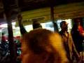 EM 2008 Türkei gegen Kroatien in Rheydt