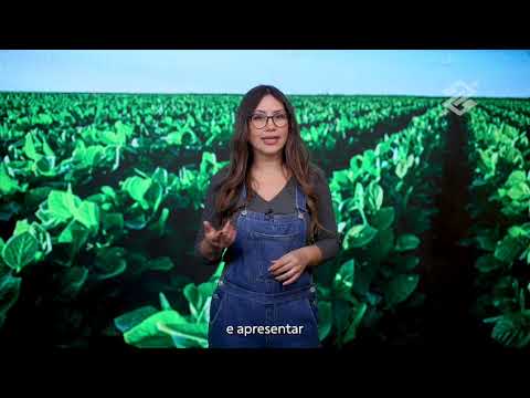 Cenário semanal: USDA, geopolítica e clima impactam commodities | BBcast Agro - 13/04/2026