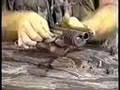 PGP Maintenence from 1987 paintball video
