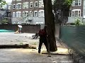 kappen van een 20 meter hoge robinia kappen van een 20 meter hoge robinia