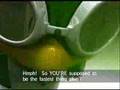 The-Sonic-Riders-Mov