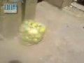 شام-إعزاز-إضراب عام السبت 23-7-2011