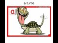 This video explains the difference between singular nouns and plural nouns. It shows that when we have 2 or more we use the plural form. It also explains that the plural form is made by adding -s to the noun base. For flashcards and matching worksheets, visit www.mes-english.com