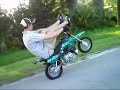 50 Stunts 50 Stunts